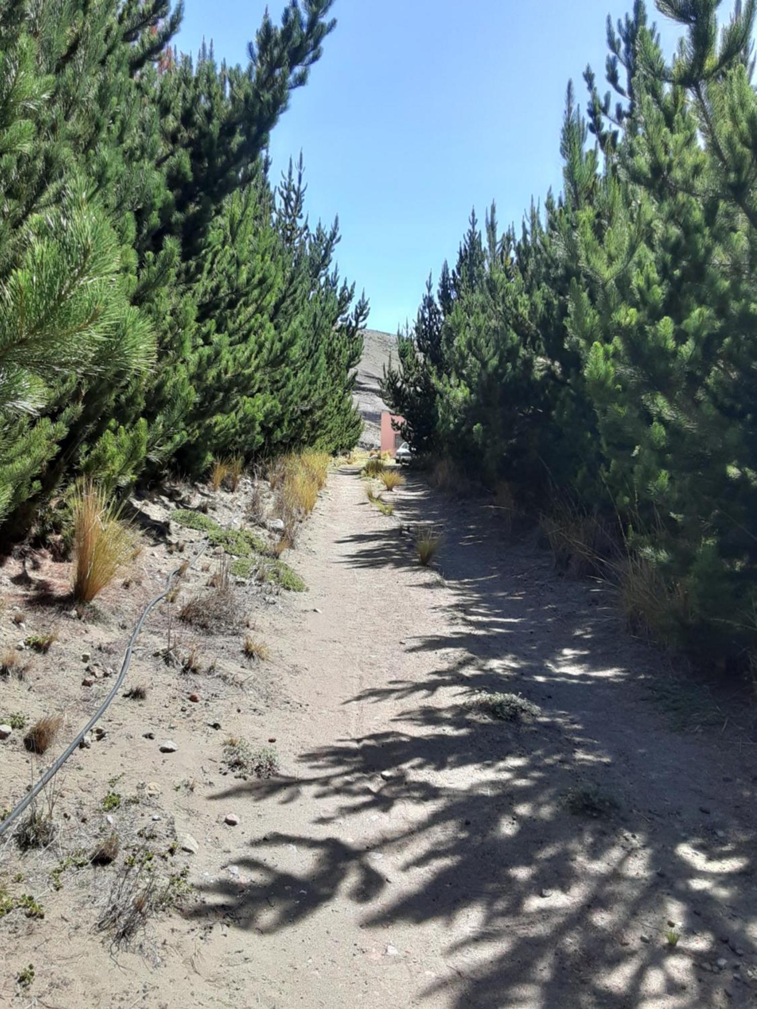 Hospedaje Chimborazo Chimborazo